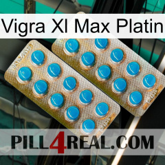 Vigra Xl Max Platinum new08